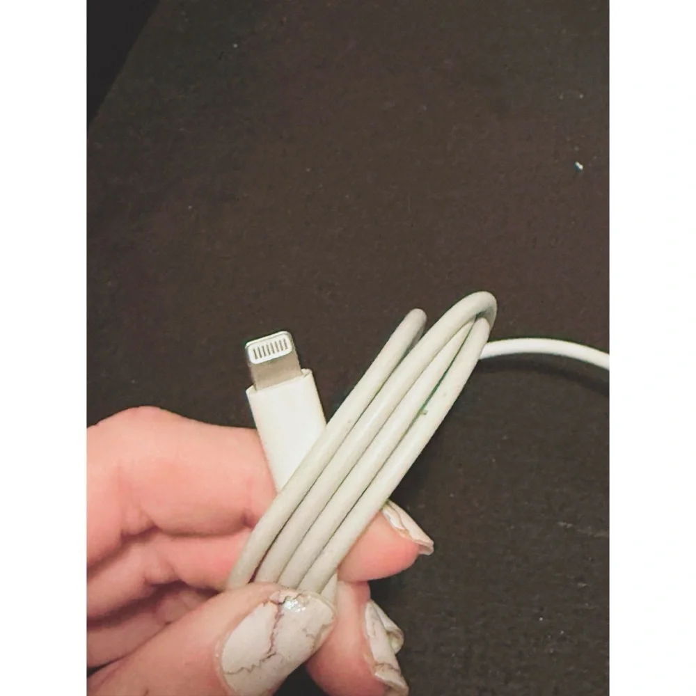 Apple Lightning Connector Charger and Earbuds Bundle